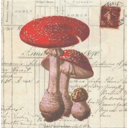 Χαρτοπετσέτα για decoupage 33X33 Nouveau 74001