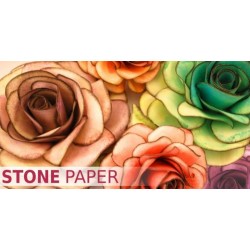 Stone paper 21X29,7 Stamperia DFPCA4