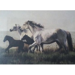 Πίνακας καμβάς 50 x 70 BIZART με άλογα 102002
