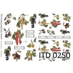 Χαρτί decoupage classic 60gr ITD -DO250