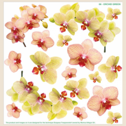 Τυπωμένη ζελατίνη-φύλλο για sospeso transparente 2-06 green orchid