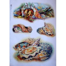 Ριζόχαρτο decoupage KALIT 45X32 ANI-0008