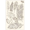 Chipboard για scrapbooking feathers 12.6X20εκ ROSA TALENT 914855