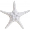 Αστερίας λευκός polyresin 25x25x9 INART 4-70-594-0001