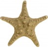 Αστερίας χρυσός polyresin 17χ17x6 INART 4-70-594-0004