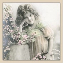 Χαρτοπετσέτα για decoupage 33X33 SAGEN 2088
