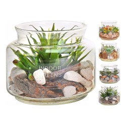 JK Home Décor - Κακτάκι Indoor Greens 16x13cm 4Σχδ 296956(1 τμχ)