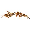 JK Home Décor - Αψίδα Αλεξανδρινό Αmber 70cm 33200 