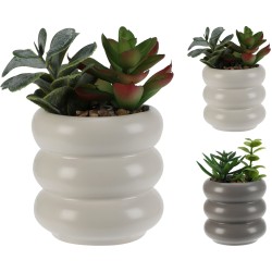 JK Home Décor - Φυτό Σε Κεραμικό Κασπώ 14cm 4Σxδ 500210 (1 τμχ)