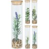 Φυτό Σε Σωληνα Bamboo 5x21cm 4Σχδ JK Home Décor - 284332(1 τμχ)