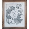 KORRESCRAFT-ΚΑΔΡΟ ΤΟΙΧΟΥ CHIC 46Χ54ΕΚ ΜΕ ΘΕΜΑ "BANISTERIA" 279-353-03